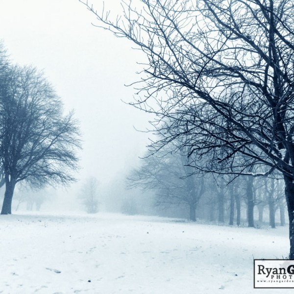 Beast from the&nbsp;East