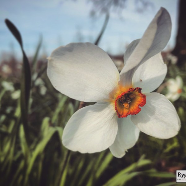 Spring is Upon&nbsp;Us