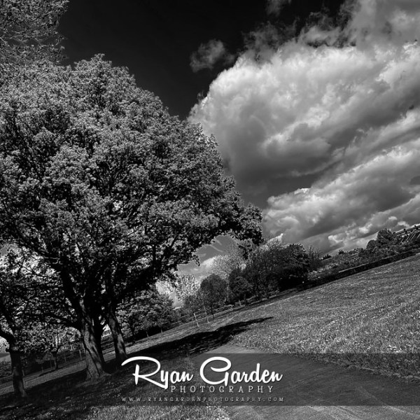 The Park in&nbsp;Mono