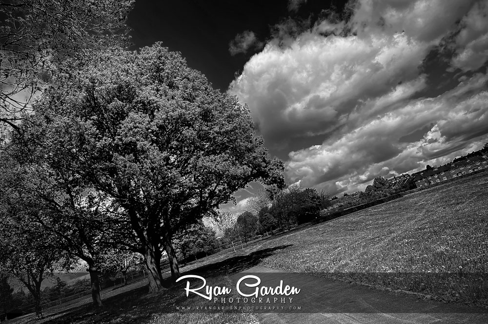 The Park in&nbsp;Mono