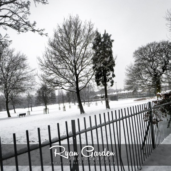 Winter in the&nbsp;Park