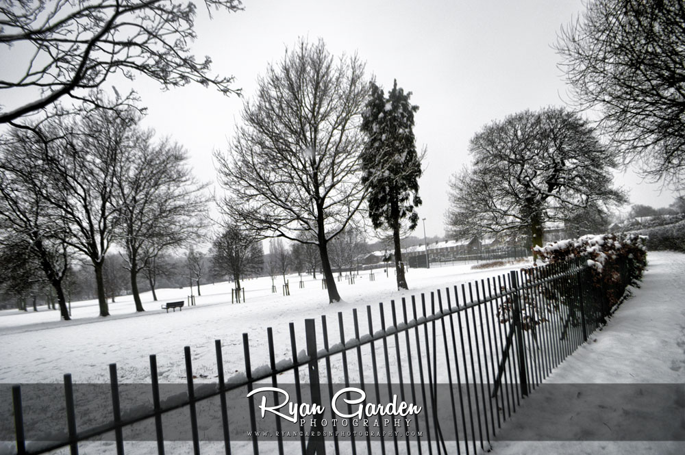 Winter in the&nbsp;Park