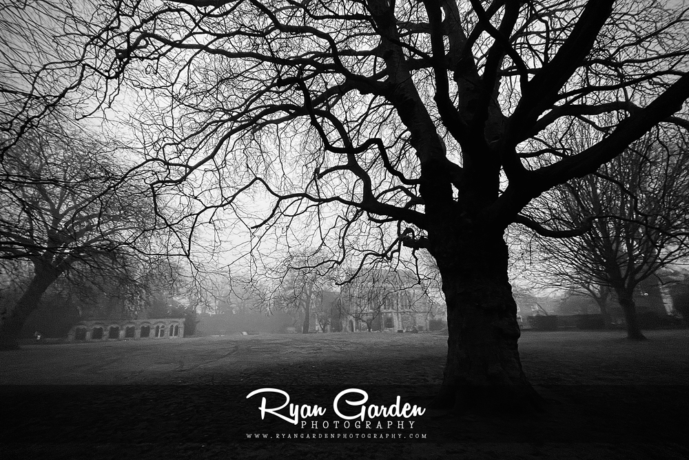 Dean’s Park in the&nbsp;Mist